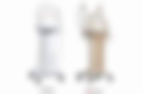 五、邱晓玲怎么预约？