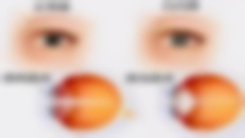 五、金俊贤怎么预约?