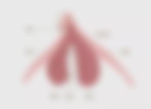 五、dress整形外科价格表