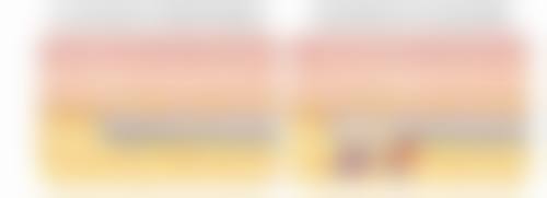 六、总结