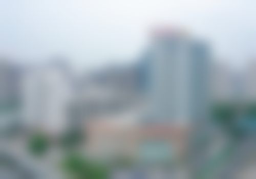 三、林亮技术优势