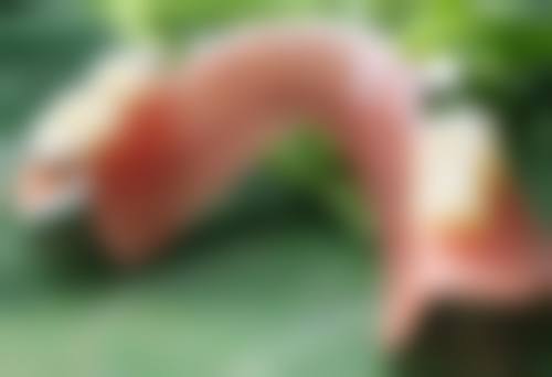 一、吊眼梢适合的双眼皮类型