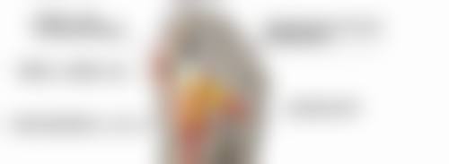 二、柳叶形与L形硅胶假体对比