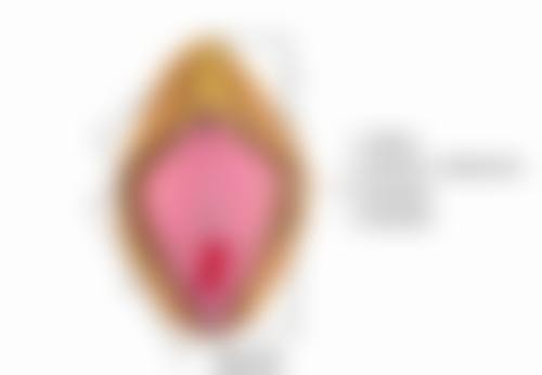怎么可以淡化疤痕颜色呢？多种方法助你改善疤痕色素沉着恢复肌肤美观