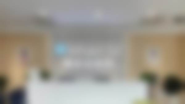 二、田毅擅长项目