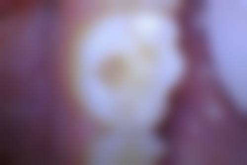 设备环境介绍