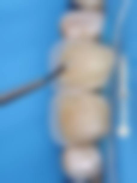 特色项目与专精优势