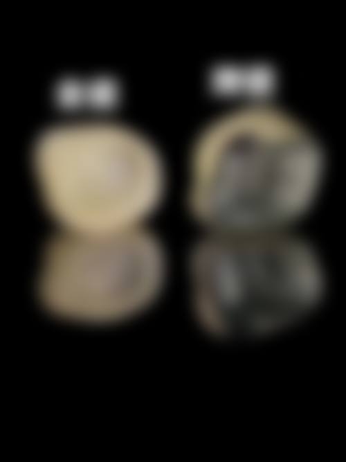 FAQ：常见问题解答