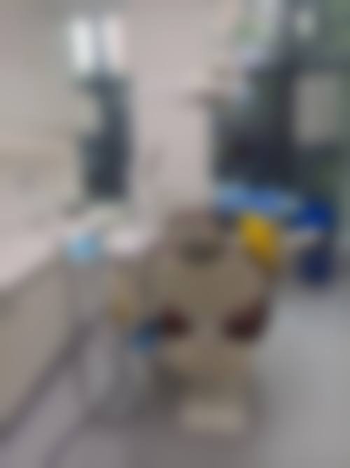 擅长项目详解