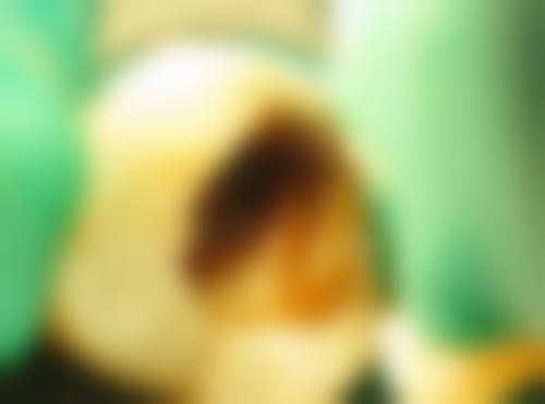 常见问题解答(FAQ)