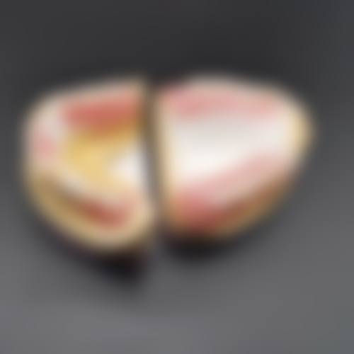 优惠活动详情