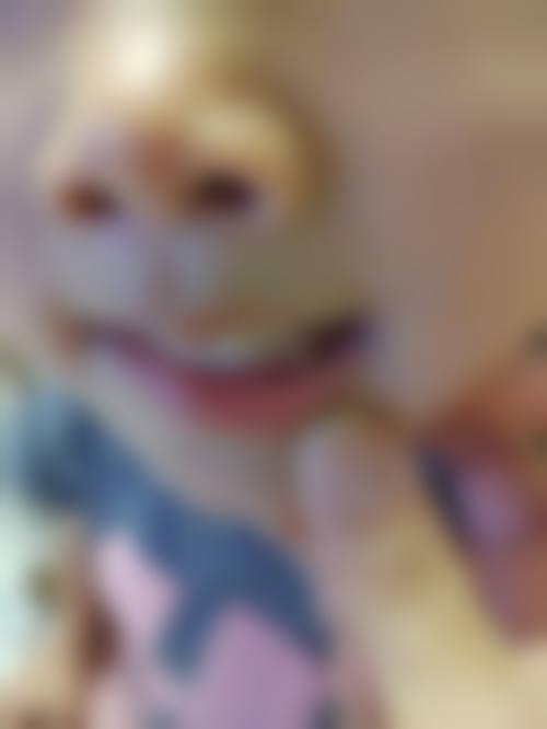 服务流程与患者保护:周到细致,售后无忧
