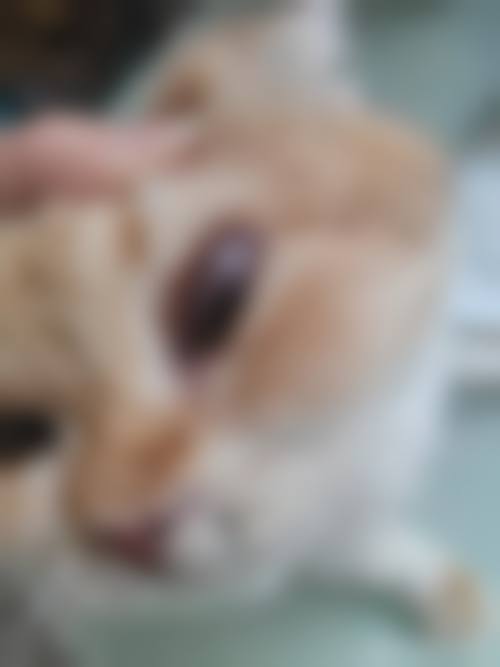 优惠活动详情