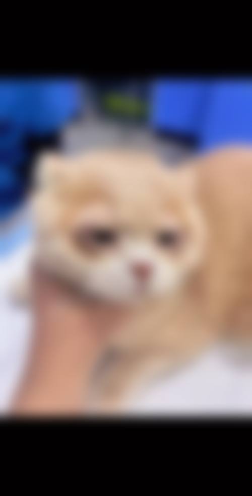 设备环境与服务流程