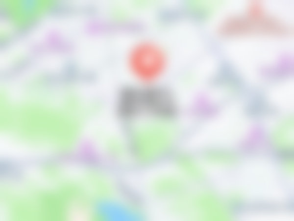 特色项目与技术:个性化方案,覆盖常见及复杂问题
