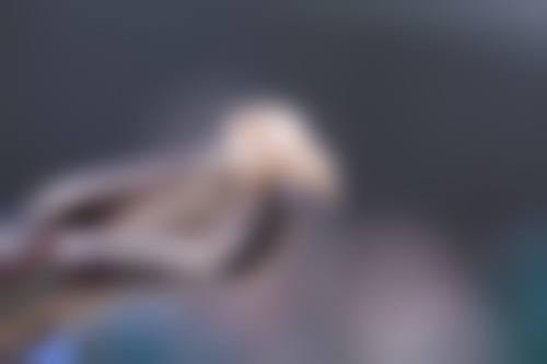优惠活动详情与预约方式