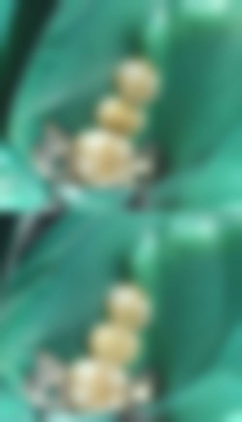 设备与无菌环境介绍