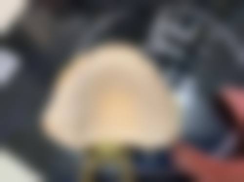 特色项目与技术:个性化口腔健康解决方案
