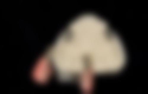 常见问题解答
