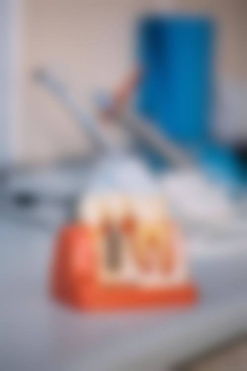 六、结尾:专精护齿,从现在开始