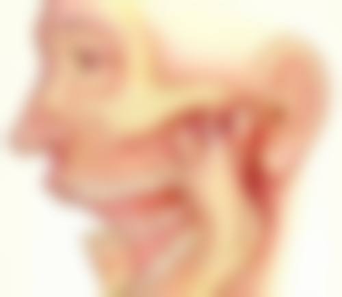常见问题解答(FAQ)