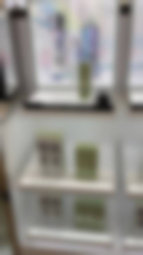 二、李秀玄擅长项目