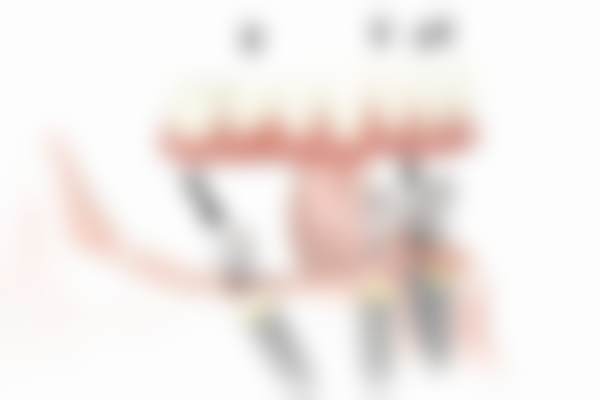 医院资质与实力：正规专精值得信赖