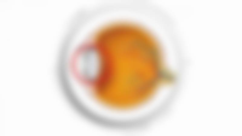 二、金俊贤擅长项目