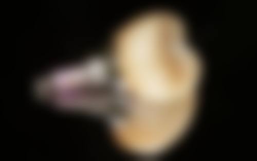 特色科室与核心项目