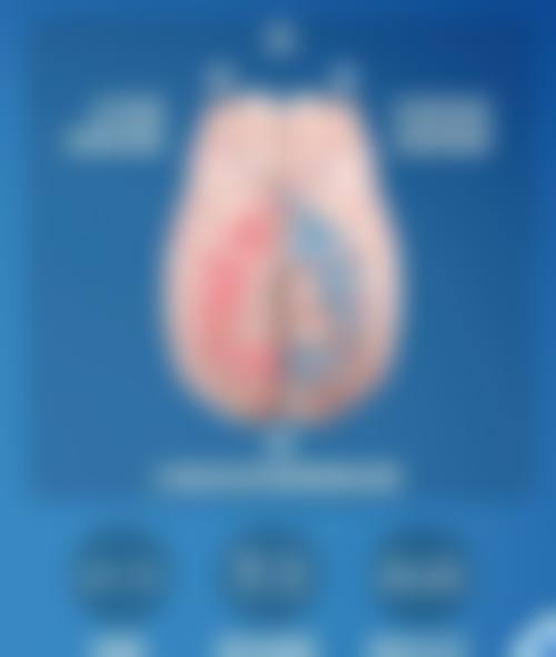 结尾预约号召