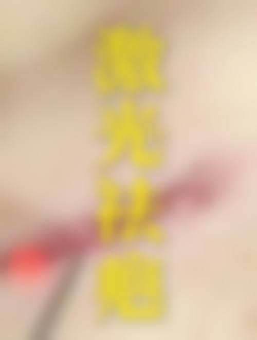 擅长项目详解