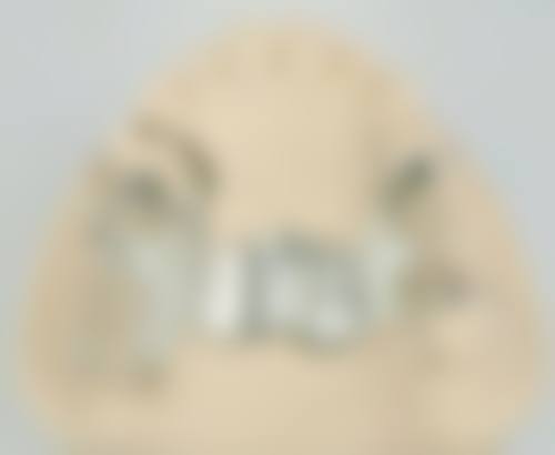 预约及联系方式