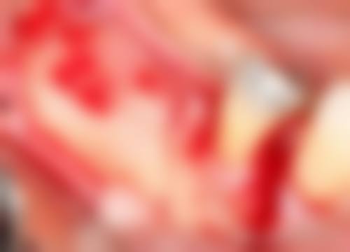 总结:专精口腔诊疗,实惠价格,即刻预约