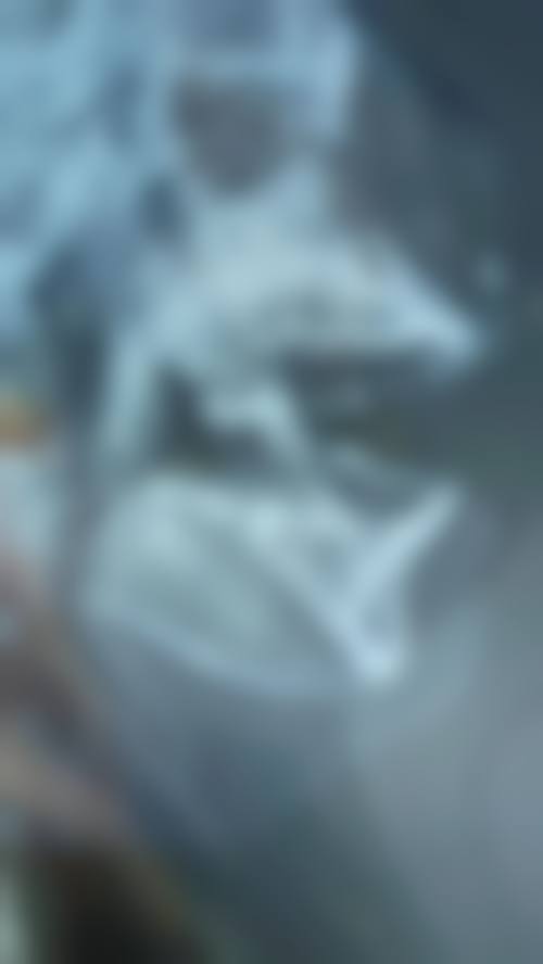 三、精良设备与诊疗环境