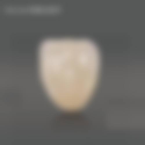 FAQ:常见问题解答