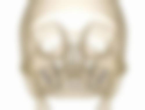常见问题解答(FAQ)