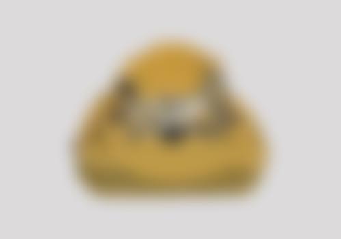 特色科室与重点项目:好在哪?