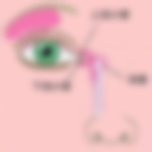 特色科室与项目：全方面覆盖眼科需求