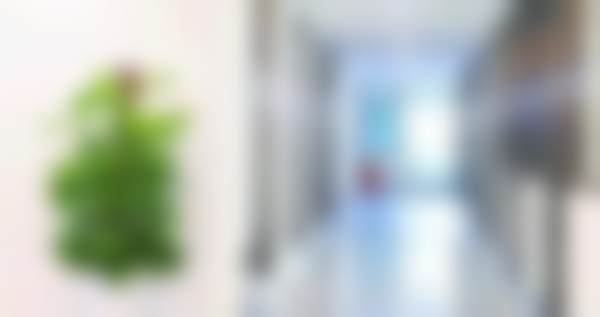 擅长项目详解