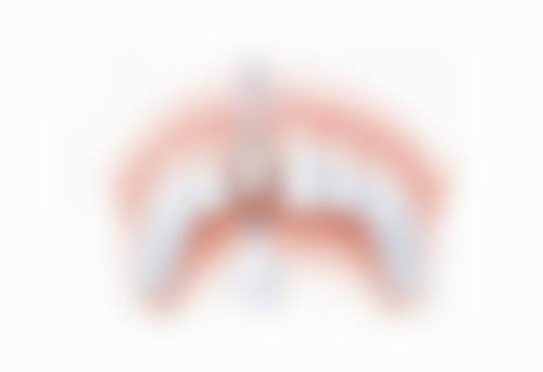 价格与优惠详情:透明收费,高性价比