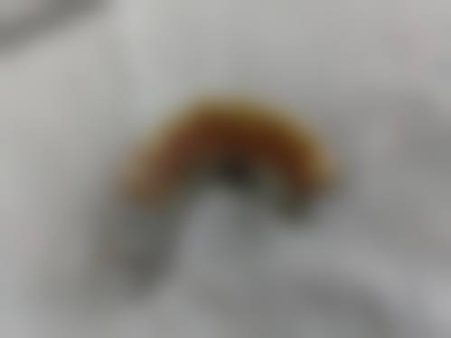 立即预约,享受优惠