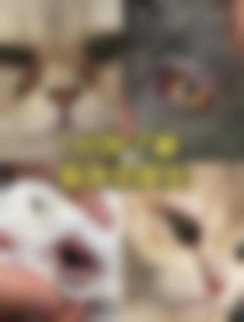 透明收费与惠民优惠