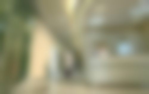 擅长项目详解