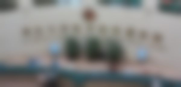 擅长项目详解