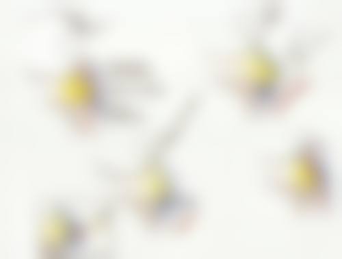 四、上海专美医疗美容门诊部特色项目