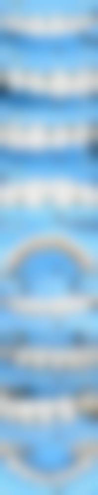 常见问题解答（FAQ）