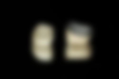 擅长项目详解