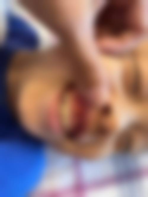 常见问题FAQ
