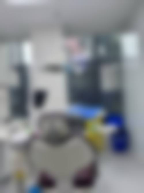 FAQ 常见问题