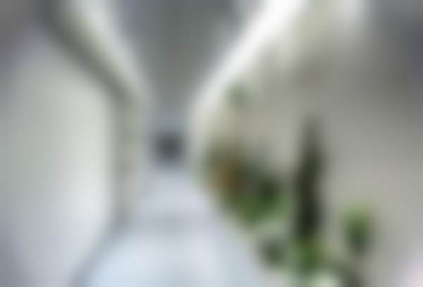 总结：选择登特，选择安心与品质